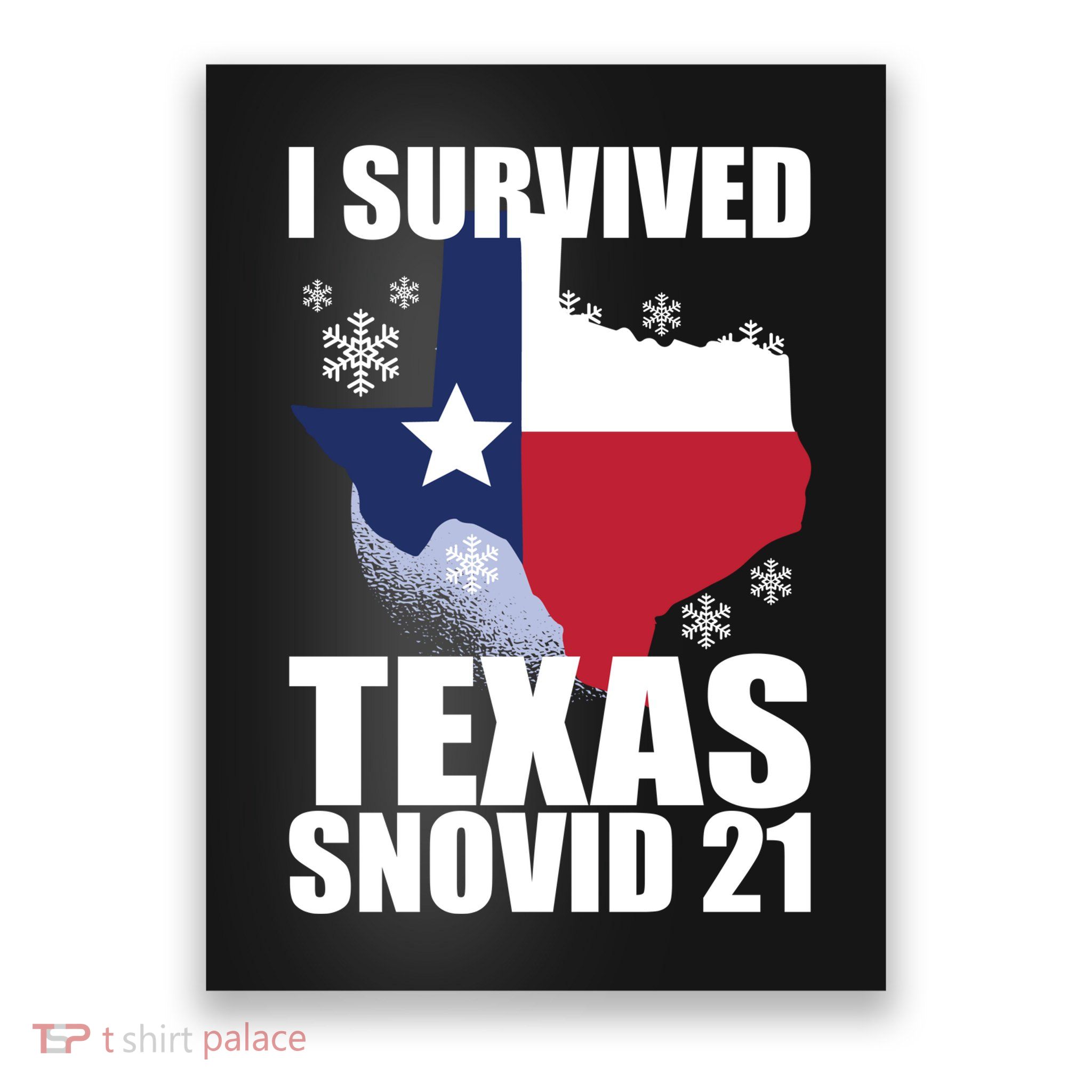 I Survived Texas Snow Storm Blizzard Snovid 21 Poster