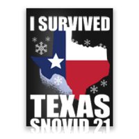 I Survived Texas Snow Storm Blizzard Snovid 21 Poster