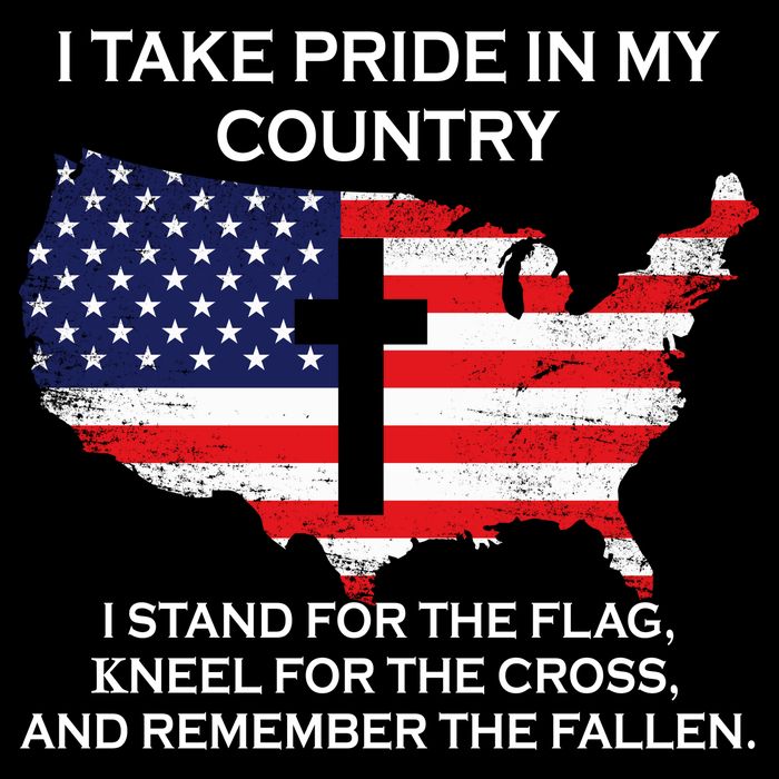I Take Pride In My Country USA Apron
