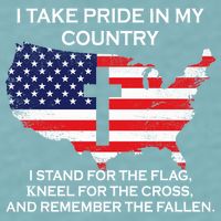 I Take Pride In My Country USA Sueded Cloud Jersey T-Shirt