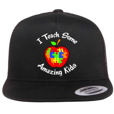 I Teach Some Amazing Kids Flatbill Hat