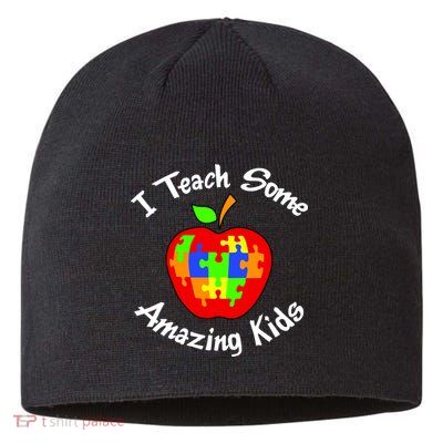 I Teach Some Amazing Kids Sustainable Beanie