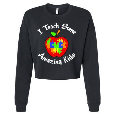I Teach Some Amazing Kids Cropped Pullover Crew