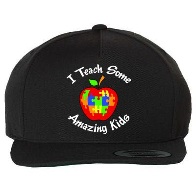 I Teach Some Amazing Kids Wool Snapback Cap