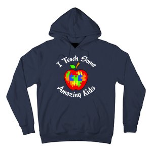 I Teach Some Amazing Kids Hoodie