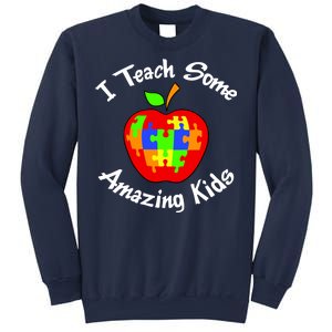 I Teach Some Amazing Kids Sweatshirt