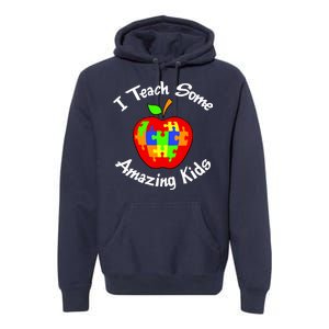 I Teach Some Amazing Kids Premium Hoodie