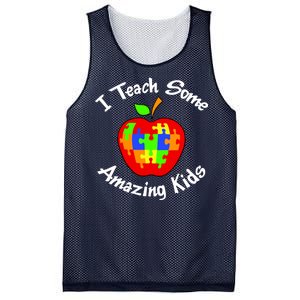 I Teach Some Amazing Kids Mesh Reversible Basketball Jersey Tank