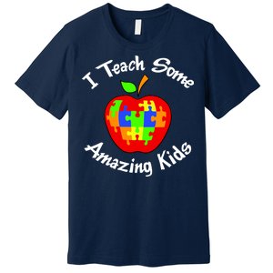 I Teach Some Amazing Kids Premium T-Shirt