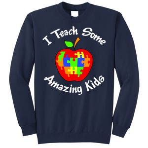 I Teach Some Amazing Kids Tall Sweatshirt