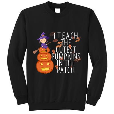I Teach The Cutest Pumpkins in the Patch Tall Sweatshirt
