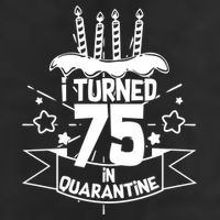 I Turned 75 In Quarantine Birthday Adult Drive Performance Visor