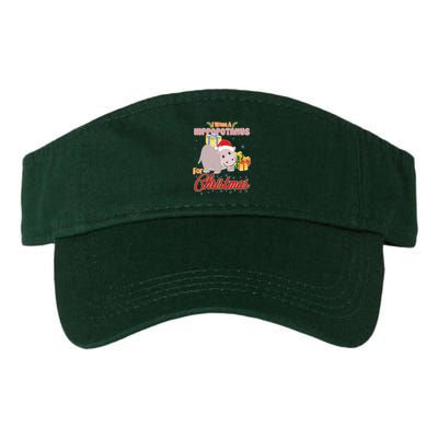 I Want A Hippopotamus for Christmas Classic Song Valucap Bio-Washed Visor