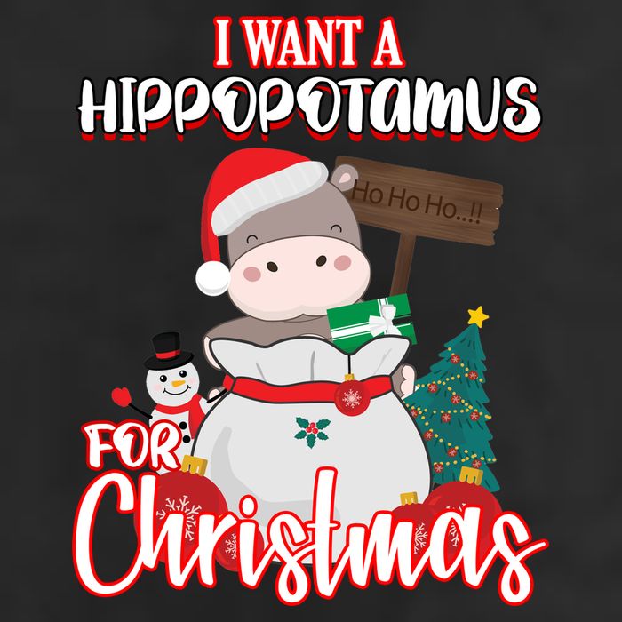 I Want A Hippopotamus For Christmas Ho Ho Ho 11oz C Handle Ceramic Mug