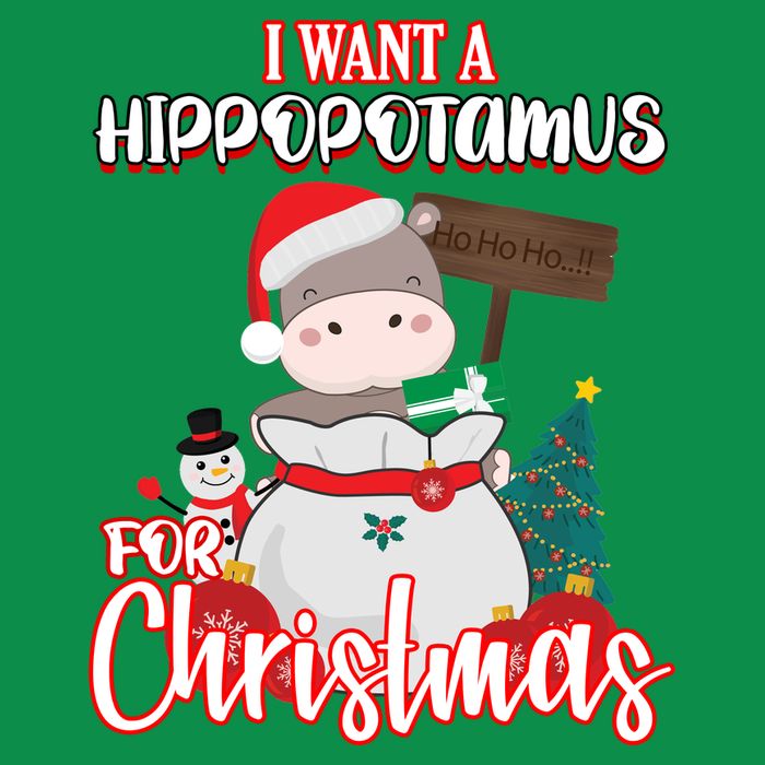 I Want A Hippopotamus For Christmas Ho Ho Ho Hoodie
