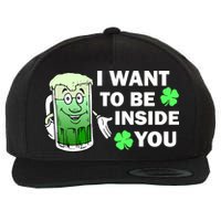 I Want To Be Inside You Beer Wool Snapback Cap