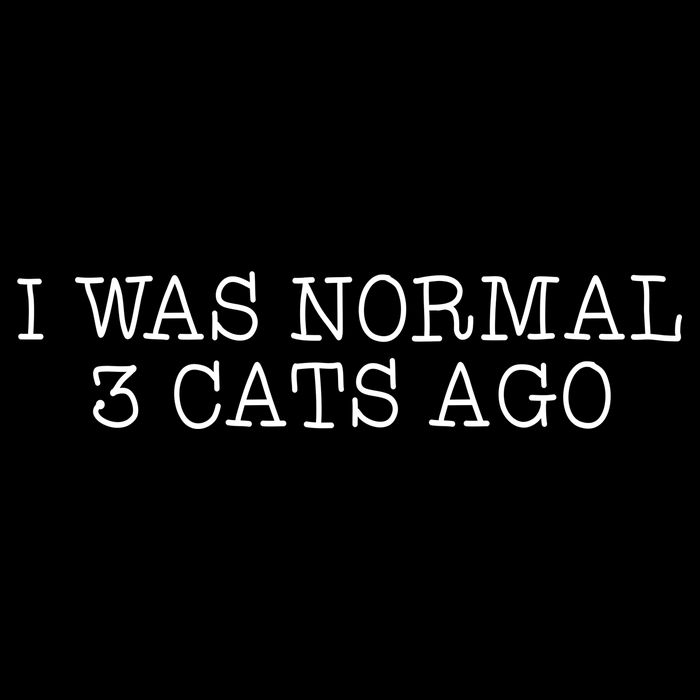 I Was Normal 3 Cats Ago USA-Made Doggie Bandana