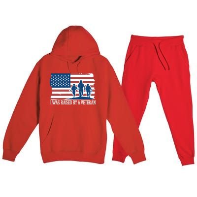 I Was Raised By A Veteran Premium Hooded Sweatsuit Set