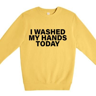 I Washed My Hands Today Premium Crewneck Sweatshirt