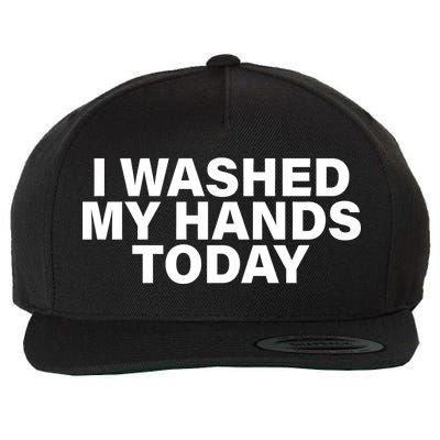 I Washed My Hands Today Wool Snapback Cap