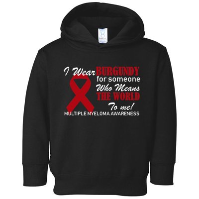 I Wear Burgundy Multiple Myeloma  Toddler Hoodie