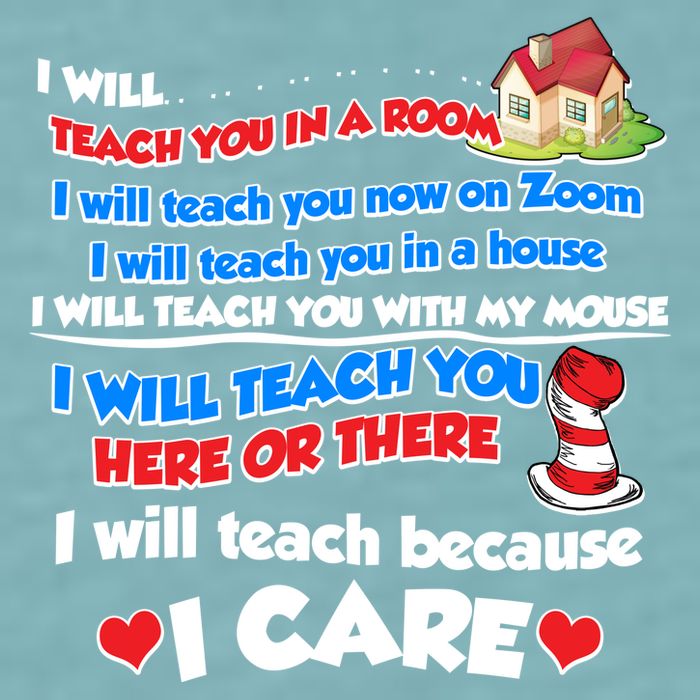 I Will Teach In A Room Now On Zoom Quarantine Sueded Cloud Jersey T-Shirt