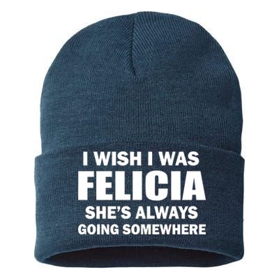 I Wish I Was Felicia Sustainable Knit Beanie