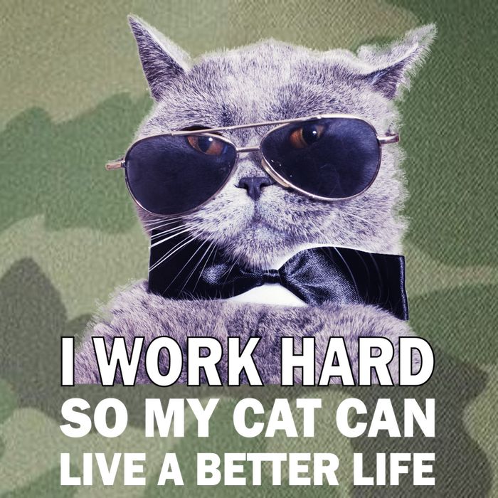 I Work Hard So My Cat Cat Live A Better Life Legacy Tie Dye Trucker Hat