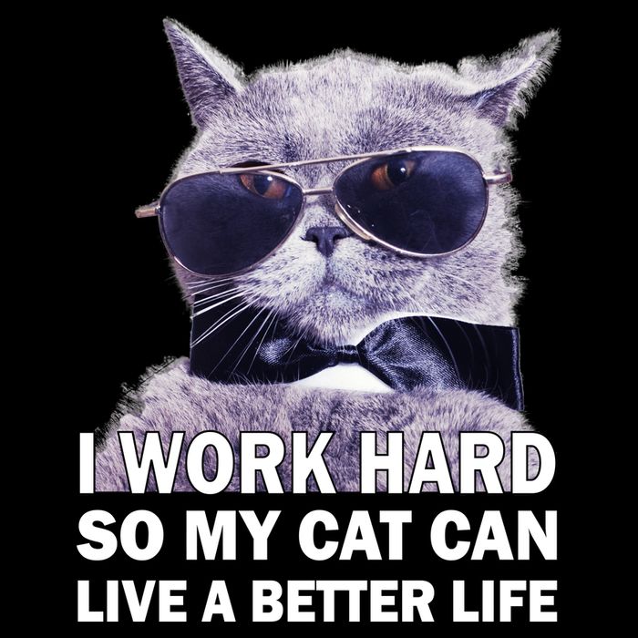 I Work Hard So My Cat Cat Live A Better Life Drawstring Bag