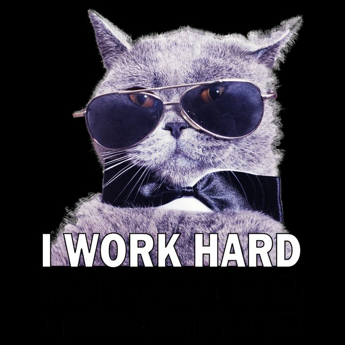 I Work Hard So My Cat Cat Live A Better Life 16oz Travel Tumbler