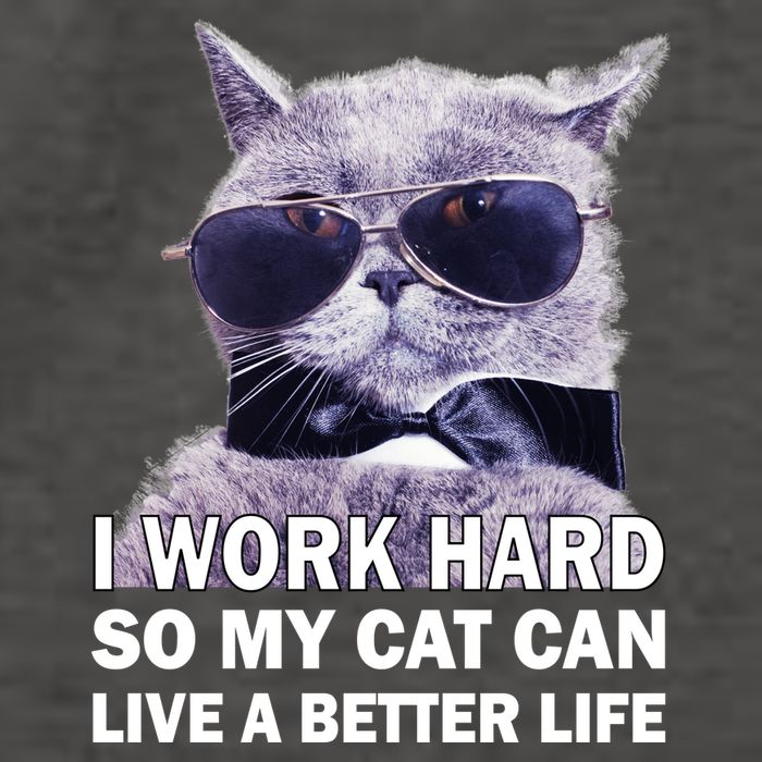 I Work Hard So My Cat Cat Live A Better Life Vector Backpack
