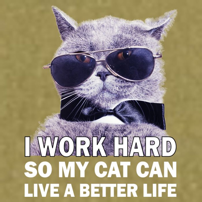 I Work Hard So My Cat Cat Live A Better Life Garment-Dyed Women's Muscle Tee