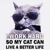 I Work Hard So My Cat Cat Live A Better Life Apron