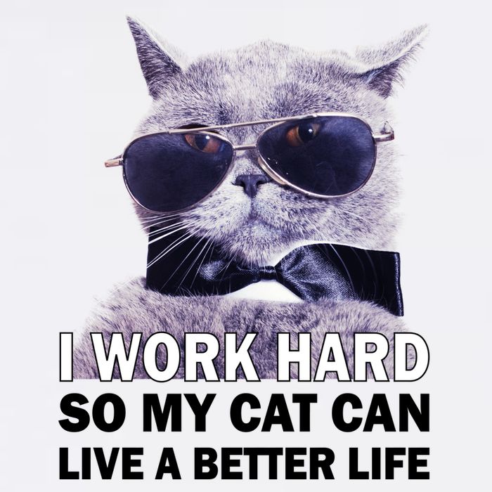 I Work Hard So My Cat Cat Live A Better Life Apron