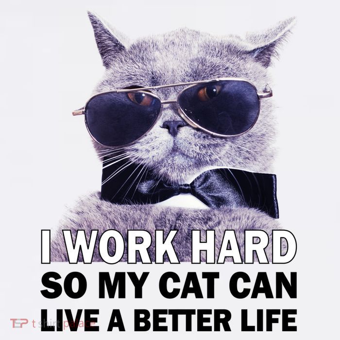I Work Hard So My Cat Cat Live A Better Life Sweatshirt