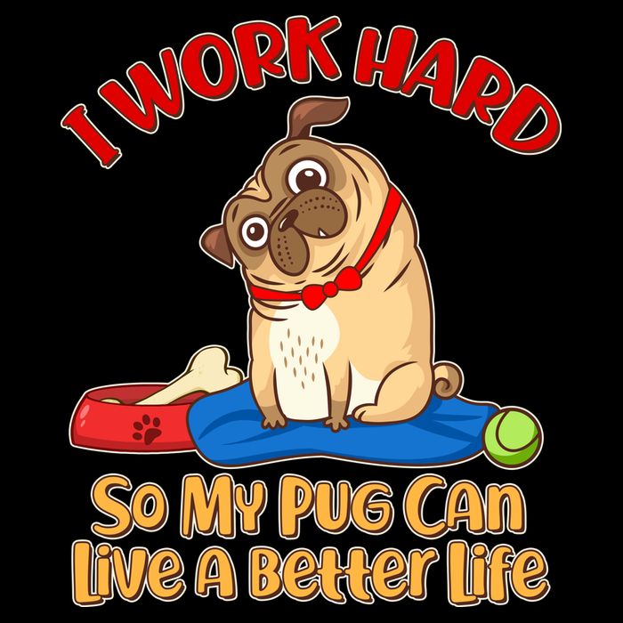 I Work Hard So My Pug Can Live a Better Life 16 in Basic Backpack