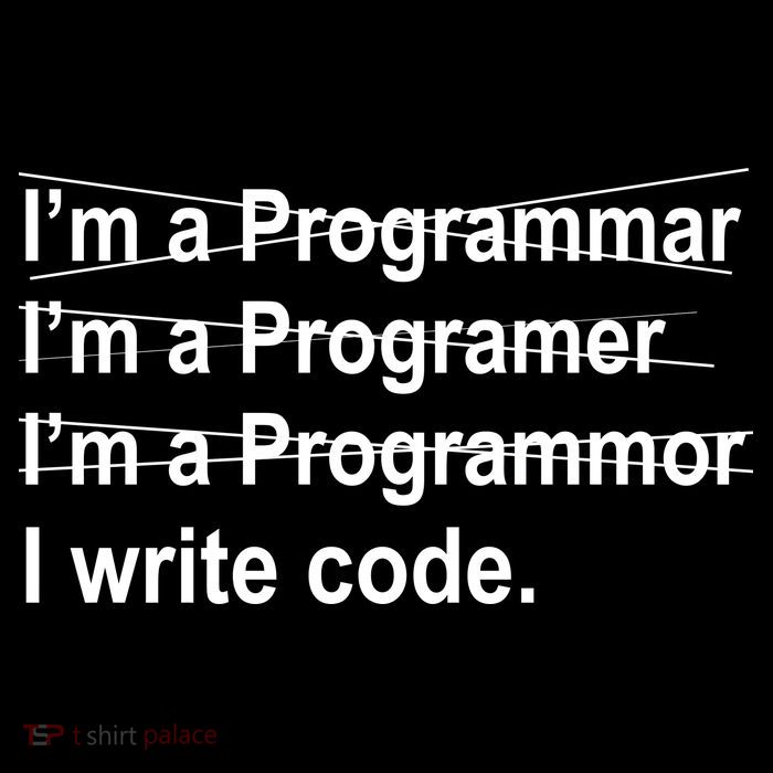 I Write Code Hoodie