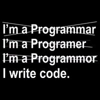 I Write Code Tall Long Sleeve T-Shirt