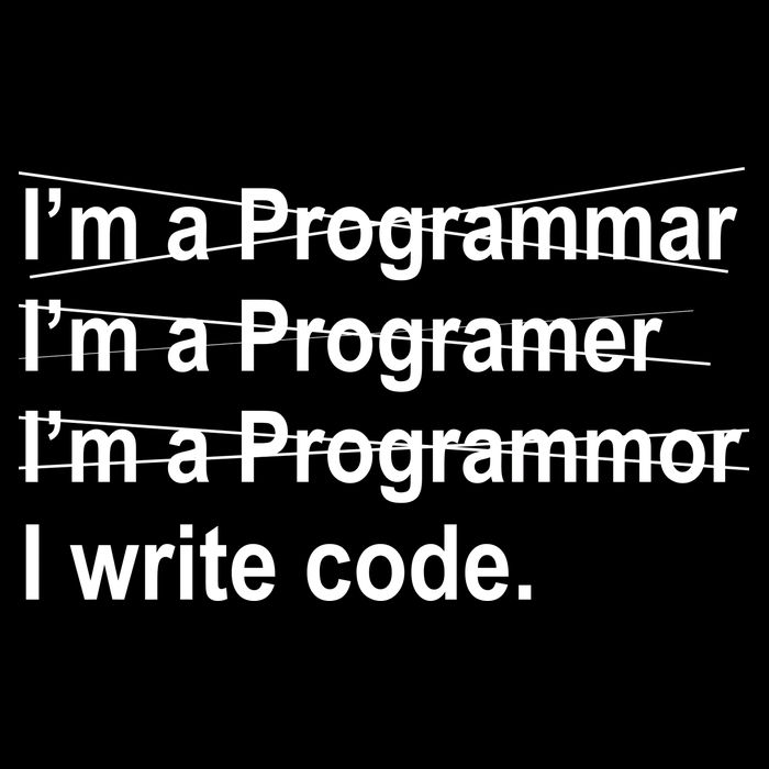 I Write Code Premium T-Shirt