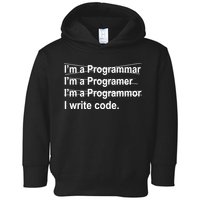 I Write Code Toddler Hoodie