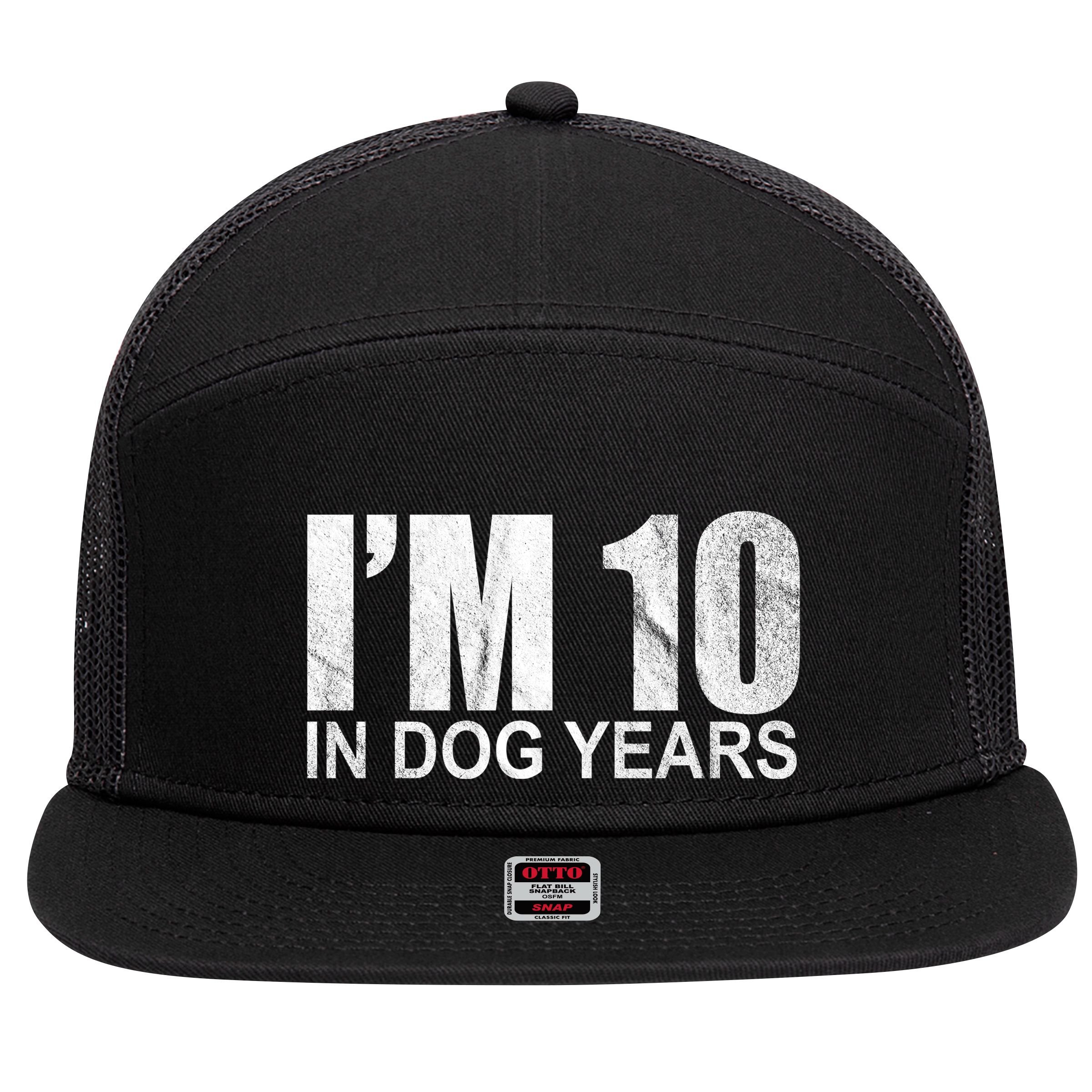 Im 10 In Dog Years Funny Birthday 7 Panel Mesh Trucker Snapback Hat