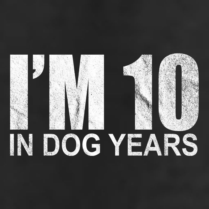 Im 10 In Dog Years Funny Birthday 7 Panel Mesh Trucker Snapback Hat