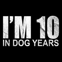 Im 10 In Dog Years Funny Birthday Sustainable Bucket Hat
