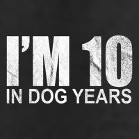 Im 10 In Dog Years Funny Birthday Adult Drive Performance Visor