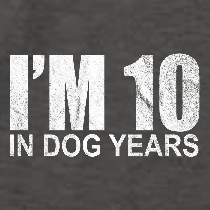 Im 10 In Dog Years Funny Birthday Vector Backpack