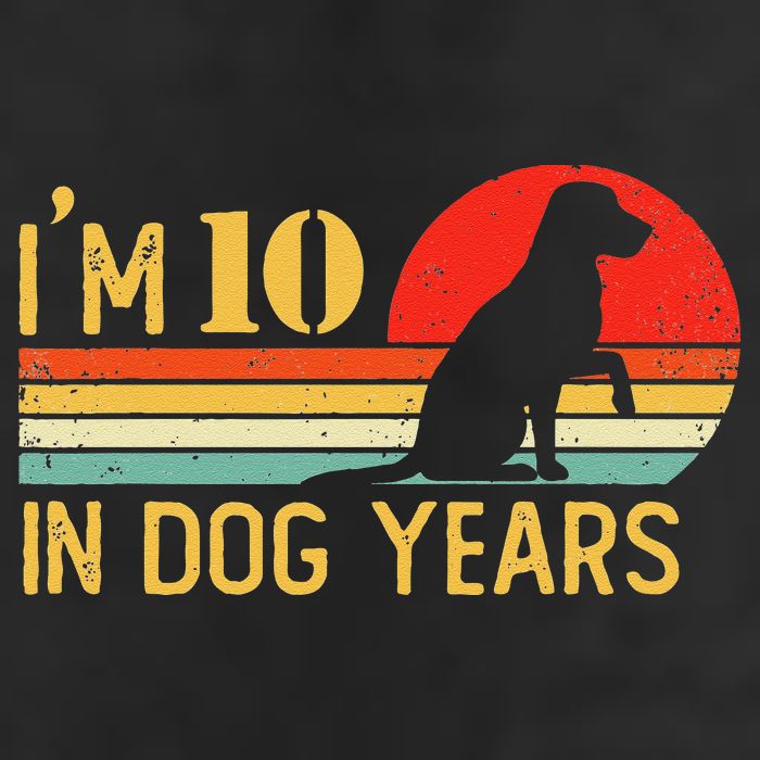 I'm 10 In Dog Years 70th Birthday Vintage Funny 70 Year Old Beanie