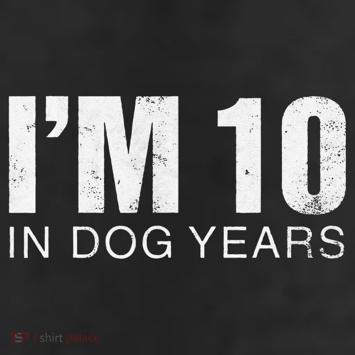Im 10 In Dog Years Funny 70th Birthday Gift Cool Comfort Performance Bucket Hat