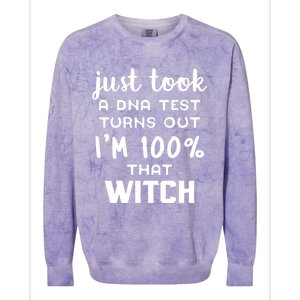 Im 100 Percent That Witch Gift Colorblast Crewneck Sweatshirt