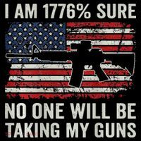 I'm 1776 Sure No One Is Taking My Guns AR15 USA Flag BACK Hooded Wearable Blanket