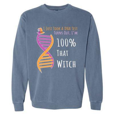 Im 100 % That Witch Dna Biology Science Cute Gift Garment-Dyed Sweatshirt